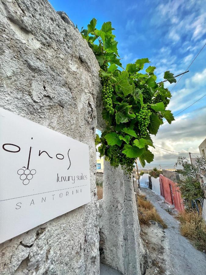 Oinos Luxury Villa *